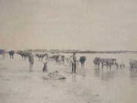 Na Savi oko 1903. godine (Foto Josip Kokalj)